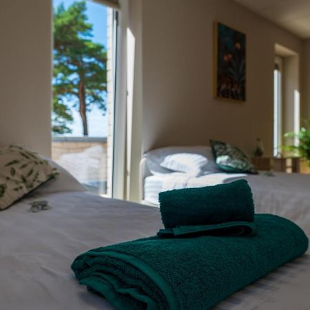 Joesuu Guesthouse Vaana-Joesuu Exteriér fotografie